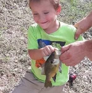 Meet your Posher, Ronnie